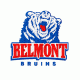 Belmont Bruins embroidery design INSTANT download, Belmont Bruins logo embroidery design INSTANT download, Belmont Bruins embroidery design INSTANT download