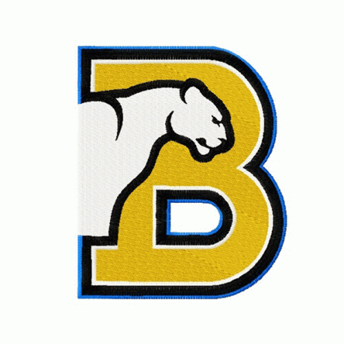 Birmingham-Southern Panthers embroidery design INSTANT download, Birmingham-Southern Panthers logo embroidery design INSTANT download