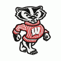 Wisconsin Badgers embroidery design INSTANT download