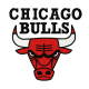 Chicago Bulls embroidery design INSTANT download, Chicago Bulls logo embroidery design INSTANT download, Chicago BullsMachine Embroidery design