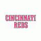 Cincinnati Reds Wordmark embroidery design INSTANT download, Cincinnati Reds Wordmark logo embroidery design INSTANT download, Cincinnati Reds Wordmark logo