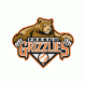 Fresno Grizzlies embroidery design INSTANT download, Fresno Grizzlies logo embroidery design INSTANT download, Fresno Grizzlies logo embroidery design