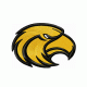 Southern Miss Golden Eagles embroidery design INSTANT download, Southern Miss Golden Eagles logo embroidery design INSTANT download, Miss Golden Eagles